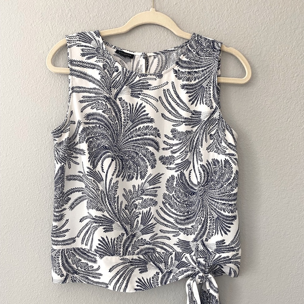 TALBOTS blue and white blouse.